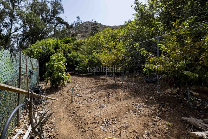 Foto 9c2cd819-fe7d-4b1f-bc51-9b2e6b1f28e5. Finca rústica a Tegueste