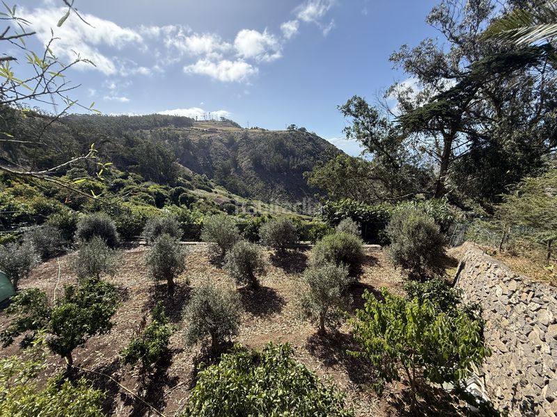Foto a88f93fe-5511-40bf-82e6-3b06b941c868. Finca rústica a Tegueste