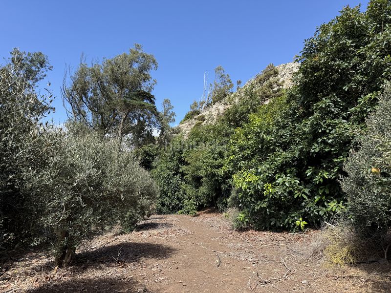 Foto ad41adbd-f119-45c5-9867-eb3166ac73b6. Finca rústica a Tegueste