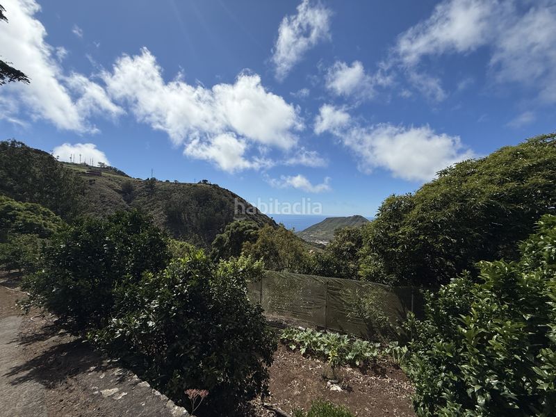 Foto b9893291-7b41-45ab-b77a-0b8c2609fce1. Finca rústica a Tegueste