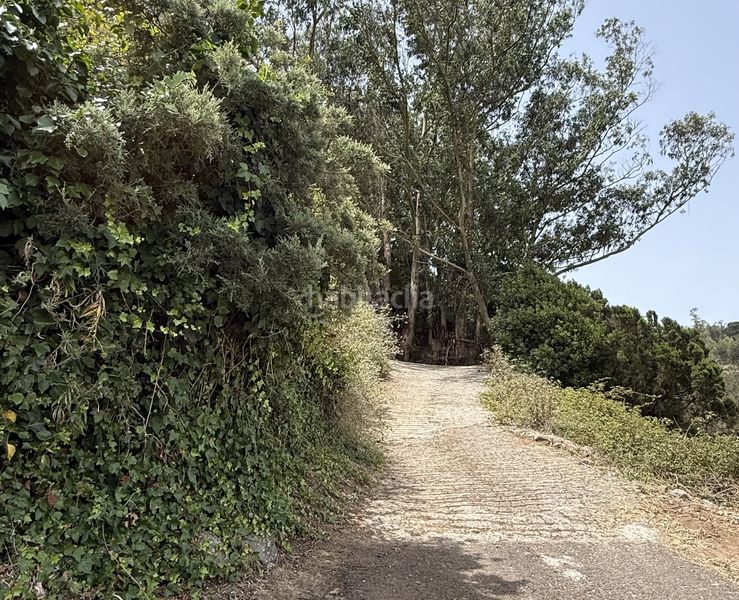 Foto d6f70334-582e-4272-af61-d76fe5f82a1a. Finca rústica a Tegueste