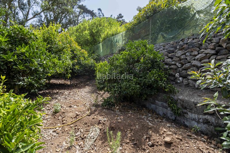 Foto e134d988-816f-4987-b26d-08fe30865519. Finca rústica a Tegueste