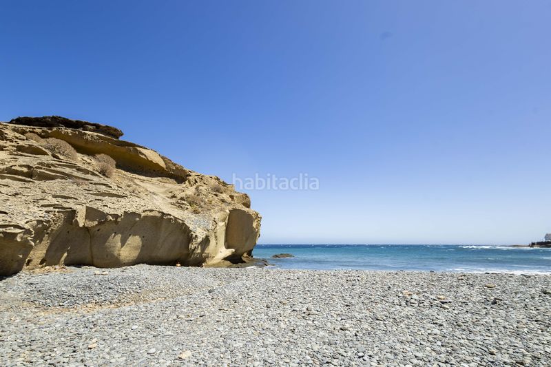 Foto 1e6c460b-3bfc-475d-bf73-f9bc0cf9b09b. Pis a Arico