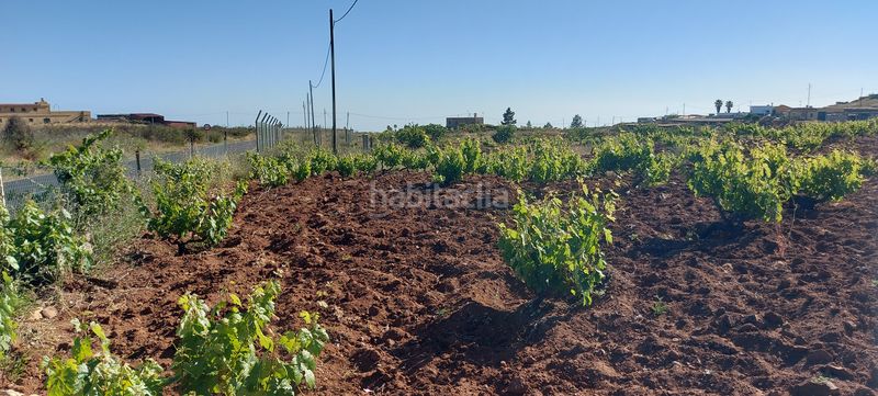 Foto 5b670c6f-621e-403c-9844-a52f19094634. Finca rústica a carr. general a Vilaflor