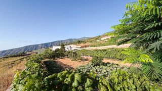 Rural plot in Arafo