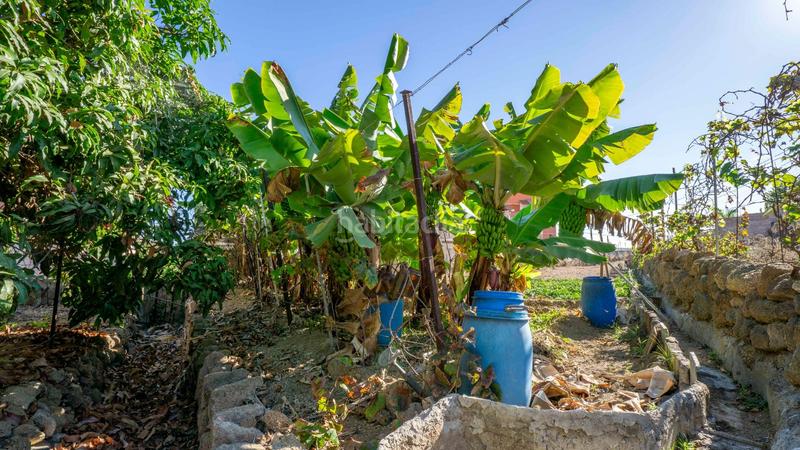 Foto 106f646c-657a-4551-91e4-e155f604a593. Terreno residencial en calle calle de la libertad terreno urbano en gimar en Güímar