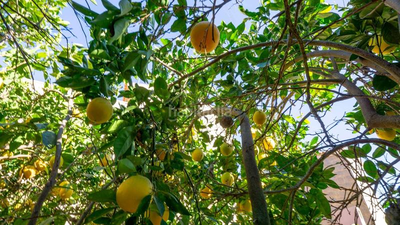 Foto 67c38286-c4e3-4bb9-b45c-8f4bcc3ee8b6. Terreno residencial en calle calle de la libertad terreno urbano en gimar en Güímar