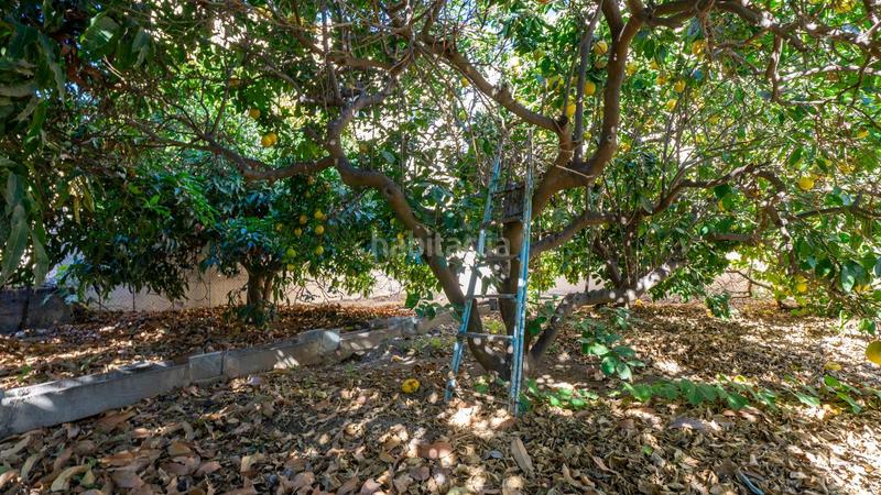 Foto d7320e01-8809-4e2d-9eb0-10595189871f. Terreno residencial en calle calle de la libertad terreno urbano en gimar en Güímar