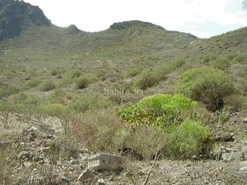 Foto 620eae50-9c65-4e2f-a65c-3ac7d1b5a9be. Finca rústica a calle la degollada poligono 1 parcela 108 a Arona