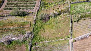 Finca rústica a Buenavista del Norte. Suelo rústico de protección agraria