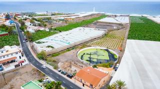 Finca rústica a Carretera 110e 110e. En punta de hidalgo finca agrícola con potencial de desarrollo