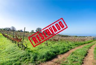 Finca rústica  Calle melchor álvarez, polígono 12, parcela 519. Suelo agrícola con opción a cuarto apero