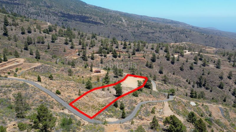 Foto 04135a61-fa40-4d92-9cfe-ff8d53dc8c9d. Finca rústica a Arico