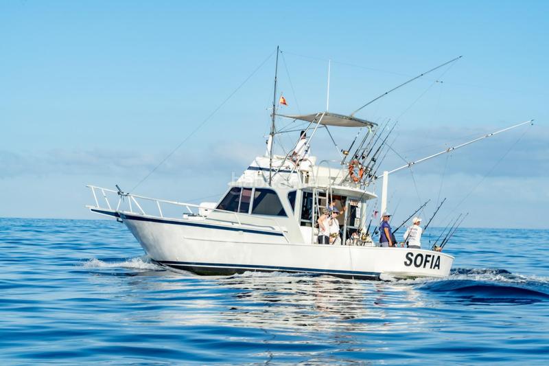 Foto 07af517e-4bab-4ff2-92a6-9cc308f3c396. Alquiler local comercial se vende empresa de pesca deportiva. en Arona