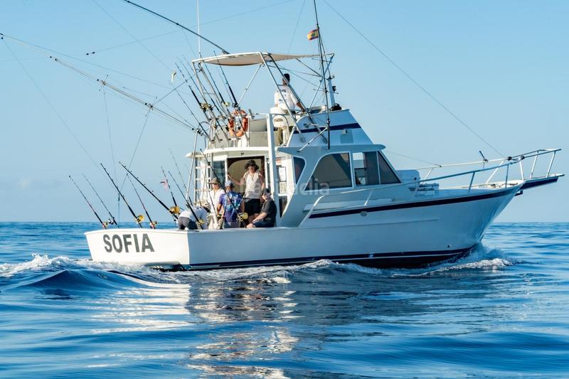 Foto 09c24ebe-5b7f-4264-b476-04435e818eb6. Alquiler local comercial se vende empresa de pesca deportiva. en Arona