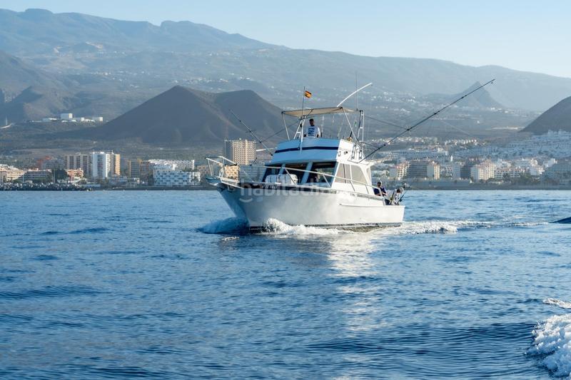Foto 14047cb2-27d0-42a7-8374-140de96a1e13. Alquiler local comercial se vende empresa de pesca deportiva. en Arona