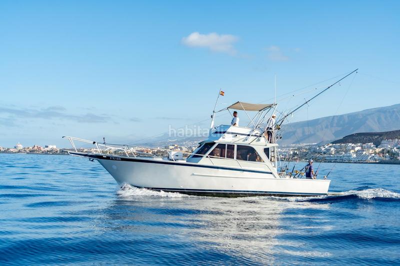 Foto 156595a5-ee87-47a2-a1fc-3fb681119f42. Alquiler local comercial se vende empresa de pesca deportiva. en Arona