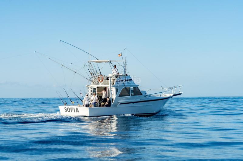 Foto 189de4f2-7f9f-4c17-9f50-881525fc5066. Alquiler local comercial se vende empresa de pesca deportiva. en Arona