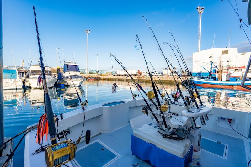 Foto 2445e070-5cb3-4909-b4c8-cdbb5487d8cb. Alquiler local comercial se vende empresa de pesca deportiva. en Arona