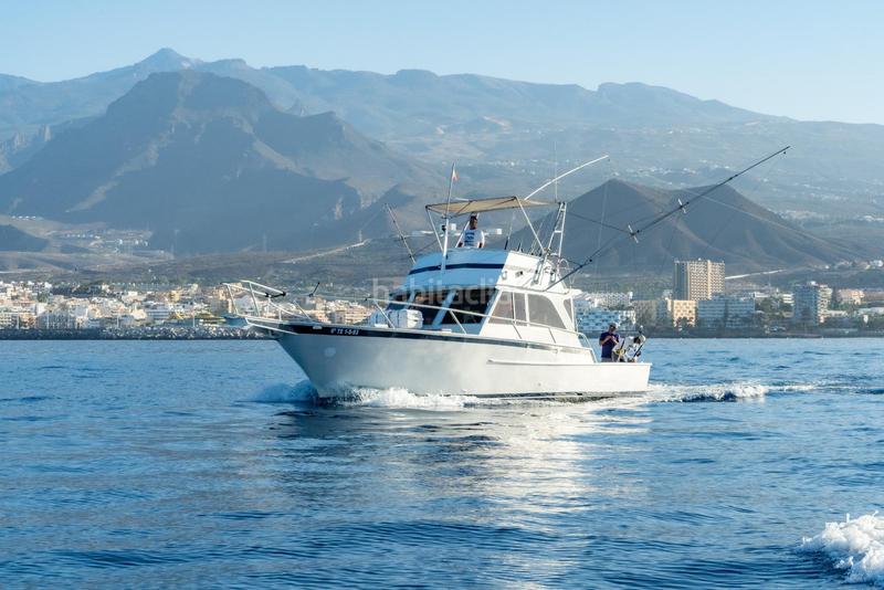 Foto 327945c5-1cb1-4e90-ab4d-cbdfe1c8110f. Alquiler local comercial se vende empresa de pesca deportiva. en Arona