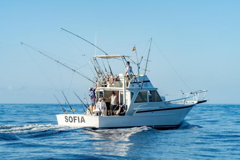 Foto 447b5e3b-7152-4bf8-a8f5-d7de43abb225. Alquiler local comercial se vende empresa de pesca deportiva. en Arona
