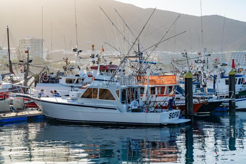 Foto 61110a26-b39b-44d6-971e-1a3e3f6d9501. Alquiler local comercial se vende empresa de pesca deportiva. en Arona