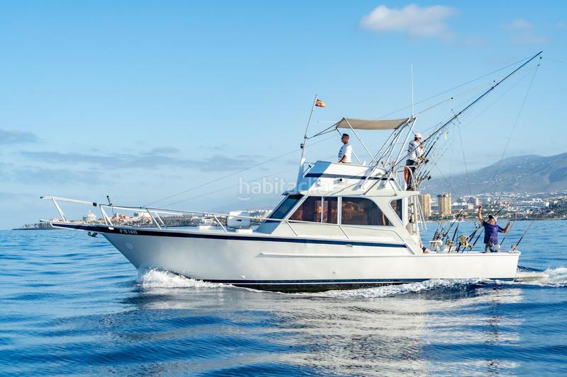 Foto 64807dea-1f95-4d04-9b7d-7d125d3039cc. Alquiler local comercial se vende empresa de pesca deportiva. en Arona