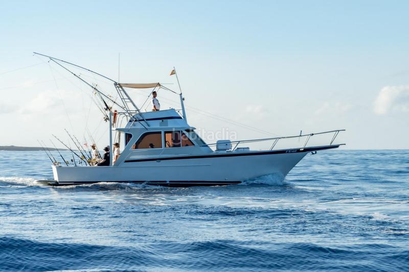 Foto 652bc752-2a1c-40e3-8e85-aed926dbf102. Alquiler local comercial se vende empresa de pesca deportiva. en Arona