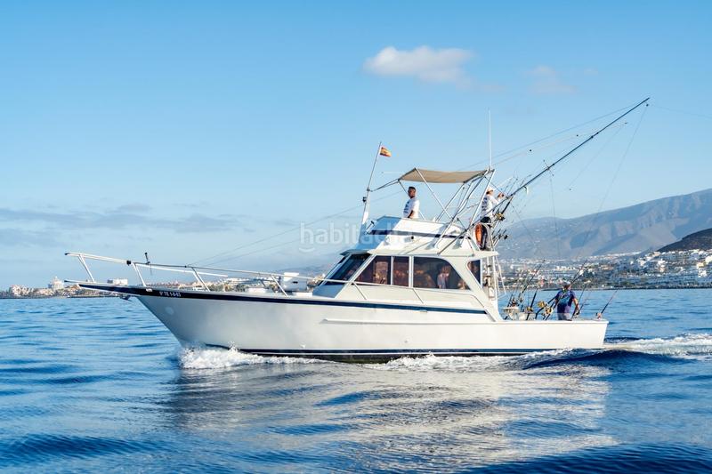 Foto 7cdaabab-feff-4250-b5b3-8850b37ef268. Alquiler local comercial se vende empresa de pesca deportiva. en Arona
