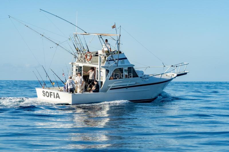 Foto 93aad90d-c050-4dc5-be66-7e7f3d6f9863. Alquiler local comercial se vende empresa de pesca deportiva. en Arona