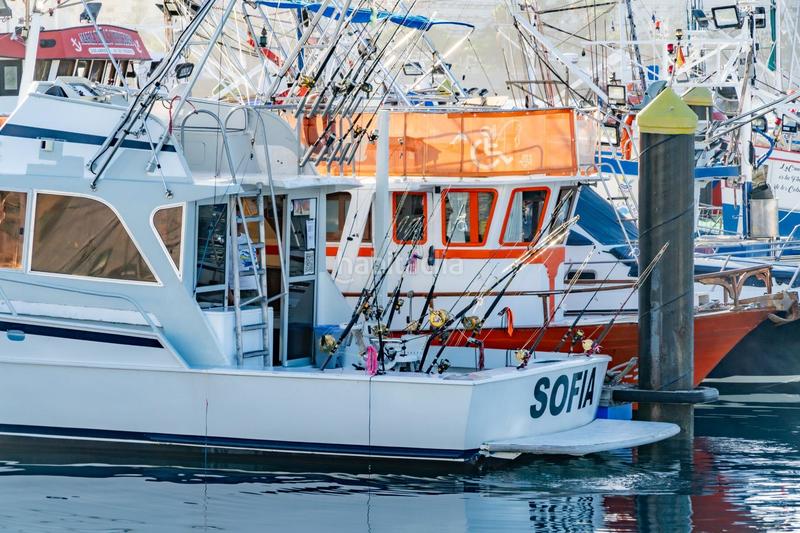 Foto 9818482d-b5b2-424a-81ed-f99dc1fc5bb8. Alquiler local comercial se vende empresa de pesca deportiva. en Arona