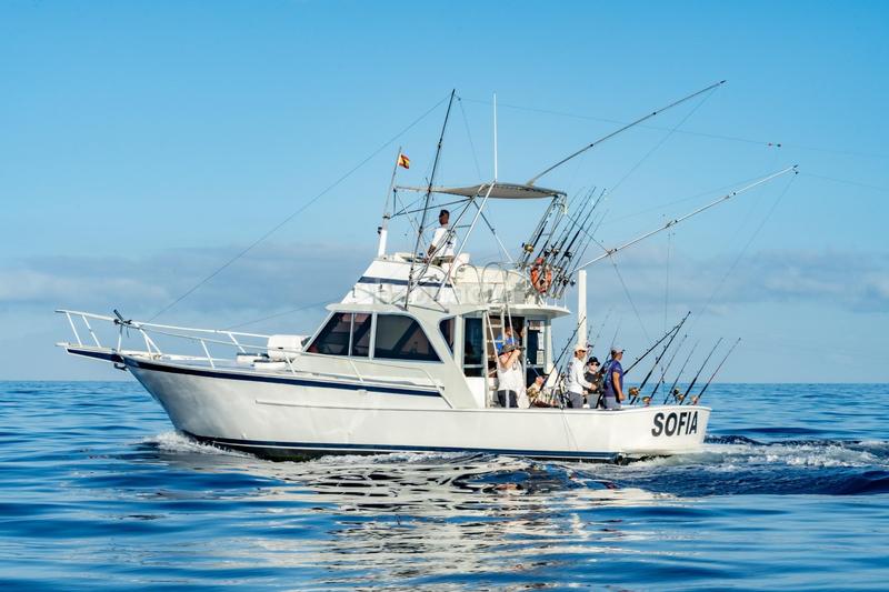 Foto a3e291aa-9bfa-42a0-9cb6-aac2ce7ec1af. Alquiler local comercial se vende empresa de pesca deportiva. en Arona