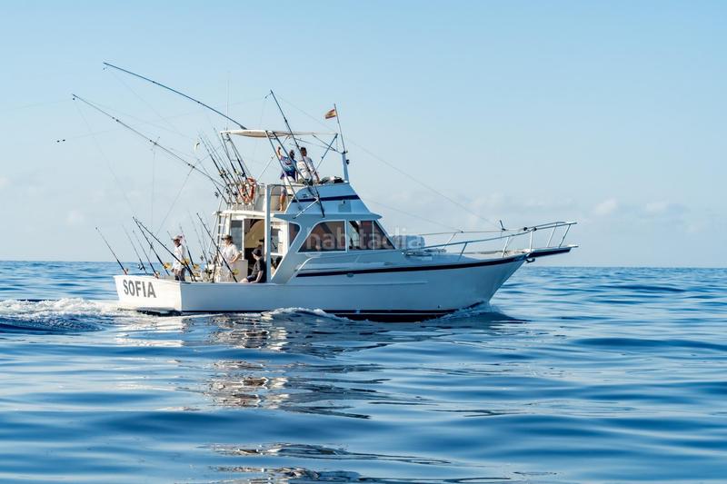 Foto a431be03-be9c-4e8f-9302-cfcf8538eea4. Alquiler local comercial se vende empresa de pesca deportiva. en Arona
