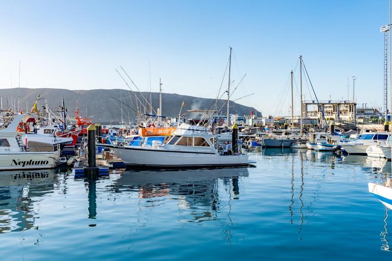 Foto b627b4e3-ef0b-4281-8ae1-a232072fd94f. Alquiler local comercial se vende empresa de pesca deportiva. en Arona
