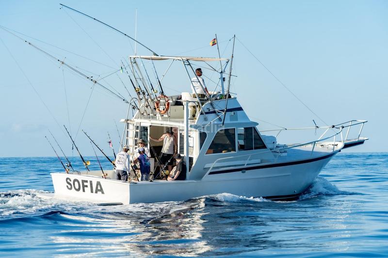 Foto bdaf9d55-99a2-4d23-9d7d-fbac739b05c6. Alquiler local comercial se vende empresa de pesca deportiva. en Arona