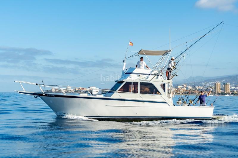 Foto bf9ad394-3d95-403b-8f47-5acc92e69fba. Alquiler local comercial se vende empresa de pesca deportiva. en Arona