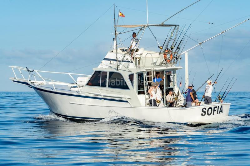 Foto c6e4d736-cfe9-4f43-8b25-fd3e60484366. Alquiler local comercial se vende empresa de pesca deportiva. en Arona