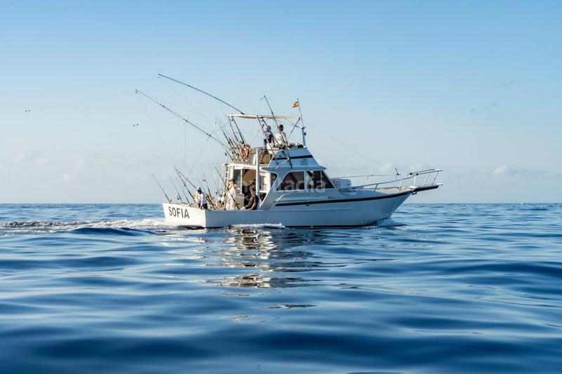 Foto cbbb44b0-5221-4e98-aa65-71907c0852f6. Alquiler local comercial se vende empresa de pesca deportiva. en Arona