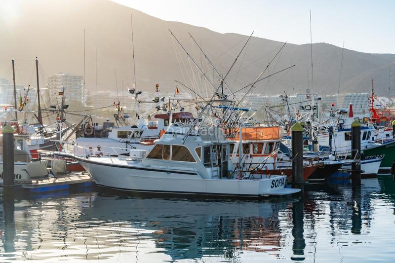 Foto d1152a50-bd71-4fd2-b6ca-6a8830f546f8. Alquiler local comercial se vende empresa de pesca deportiva. en Arona
