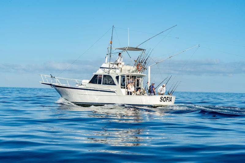 Foto dc71be3a-212b-4609-b606-4ee238338c35. Alquiler local comercial se vende empresa de pesca deportiva. en Arona