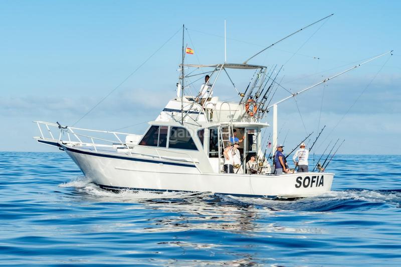 Foto ebb40bd0-3fb5-424c-b299-d08a01f5e4e7. Alquiler local comercial se vende empresa de pesca deportiva. en Arona