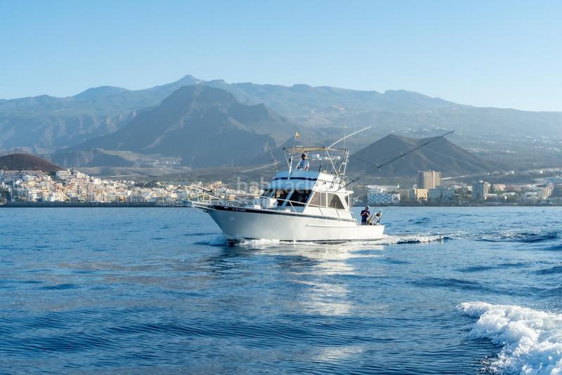 Foto f426868a-59e8-4863-8f64-9eed0ccf72f7. Alquiler local comercial se vende empresa de pesca deportiva. en Arona