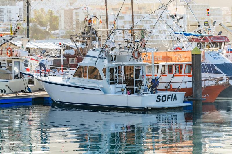 Foto feb56a0e-b522-4359-a6f1-f33f5a72112f. Alquiler local comercial se vende empresa de pesca deportiva. en Arona