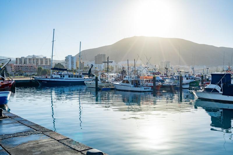 Foto febd81cd-fb33-46a3-ad2e-315c065c2c98. Alquiler local comercial se vende empresa de pesca deportiva. en Arona