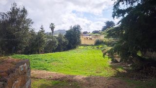 Residential Plot  Calle sardinera 17. Terreno urbano en la esperanza