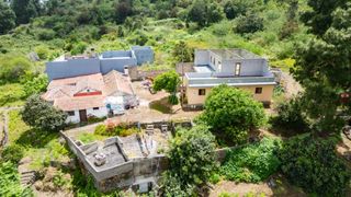 Masia a Icod de los Vinos pueblo. Finca con vivienda y viñedos en icod de los vinos