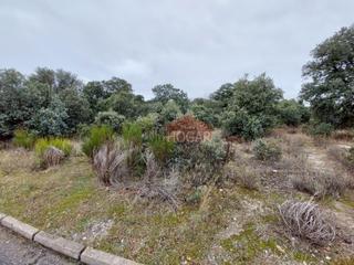 Residential Plot in Maello. Parcela urbana en dehesa de pancorbo, maello 05291