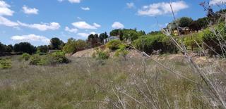 Fondo rustico in Allende el Río