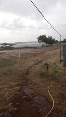Masia a Dueñas. Disponible a la venta finca rustica en dueñas