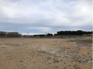 Terreny residencial a Tudela de Duero. Suelo urbanizable en tudela de duero